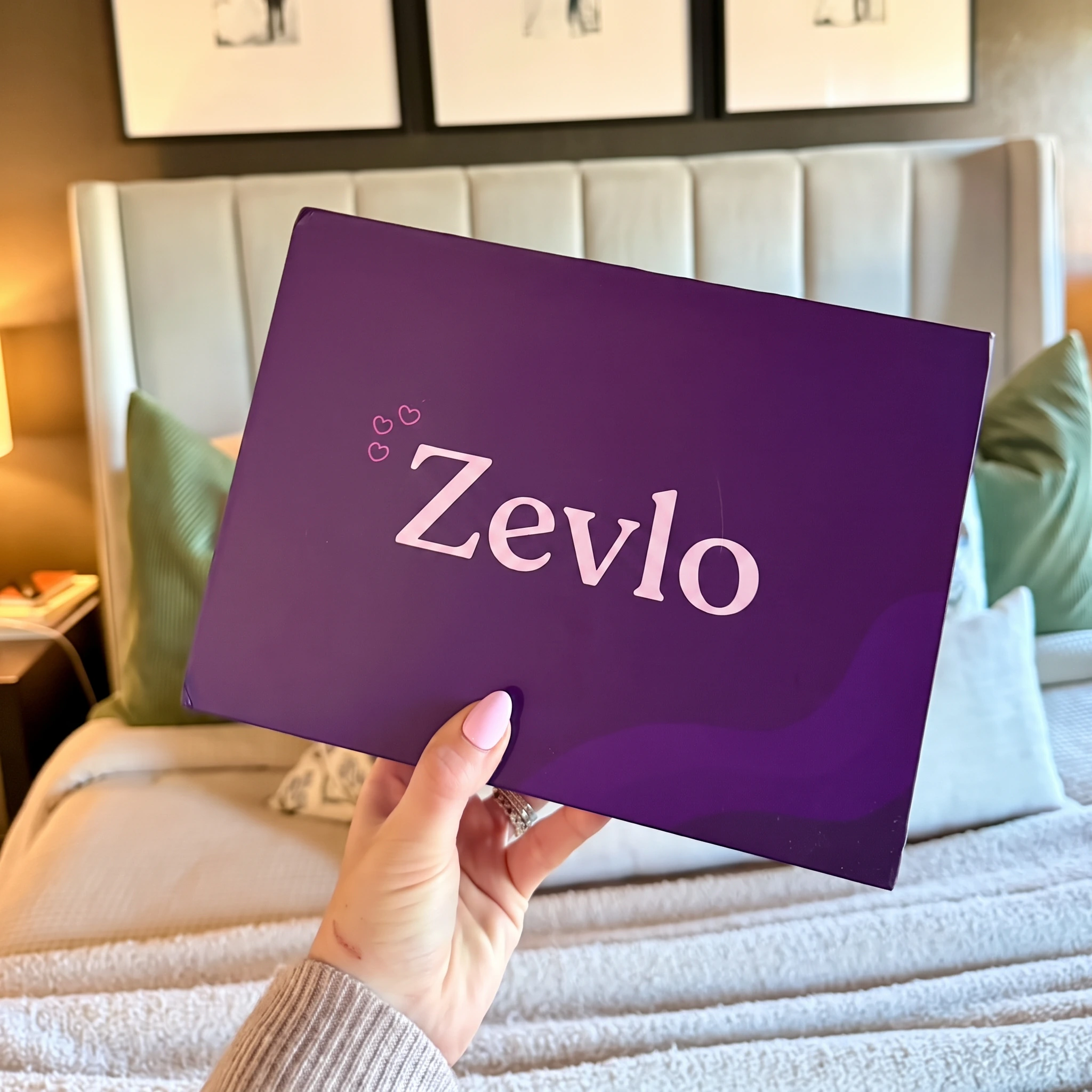 Colis Zevlo tenu à la main.